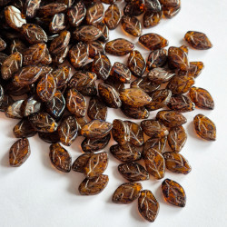 Brown mix leaves with...