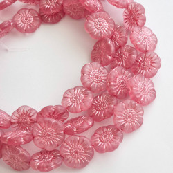 Pink transparent flowers...