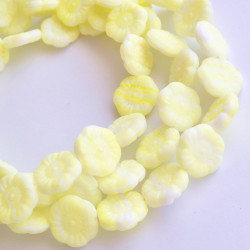 White flowers with yellow...