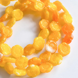 Yellow flowers with orange...