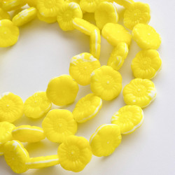 White/yellow flowers