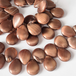 Brown drops - "moon light"...